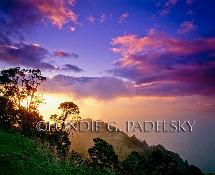 HA-339_LondieGPadelsky