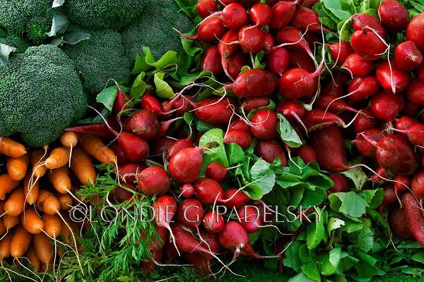 Fresh picked radishes, carrots, and broccoli.            ©Londie G. Padelsky CAD-2370_Londie_G_Padelsky