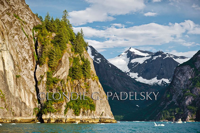 mountains, wilderness, wild, Alaska, ocean, sea, Island, Islands, Alaskan, Ice, Icebergs AK2_4414_LondieGPadelsky.jpg