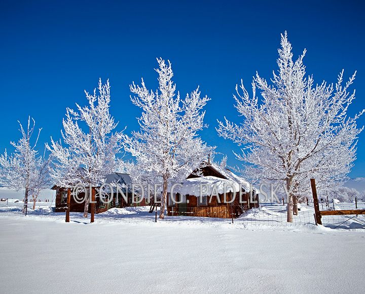 林祐介　KARHU & Picturesque Winter Landscape 林祐介 KARHU & Picturesque Winter Landscape Behind The Shot