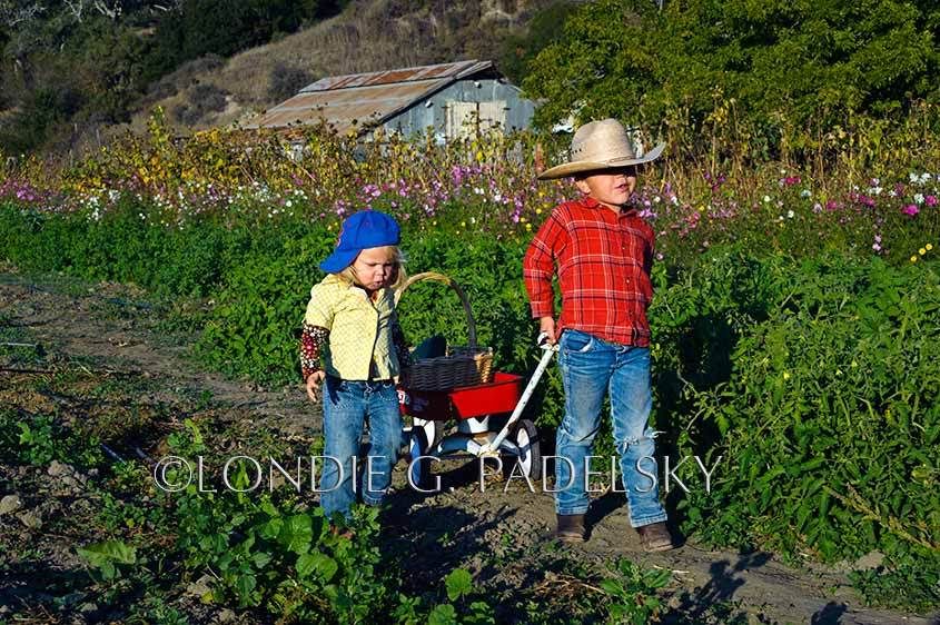 1110_LGP9682_LondieGPadelsky