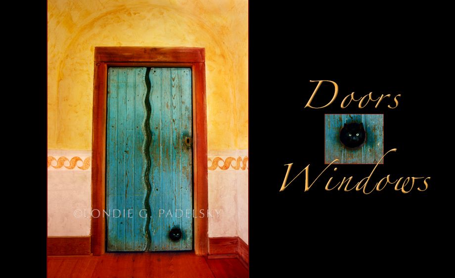  Mission Door with a Cat Hole_LondieGPadelsky.jpg