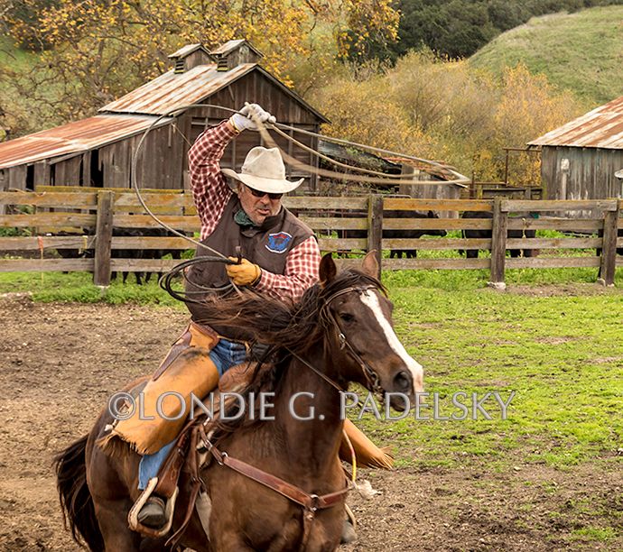 My brother roping at a cattle roundup in fall on the Central Coast of California  ©Londie G. Padelsky RdupGD17_148_LondieGPadelsky