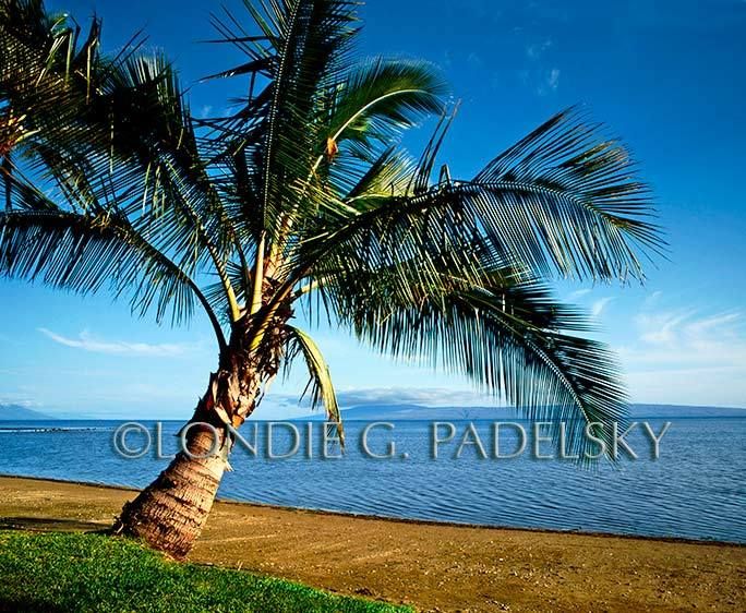 HA-0540_LondieGPadelsky