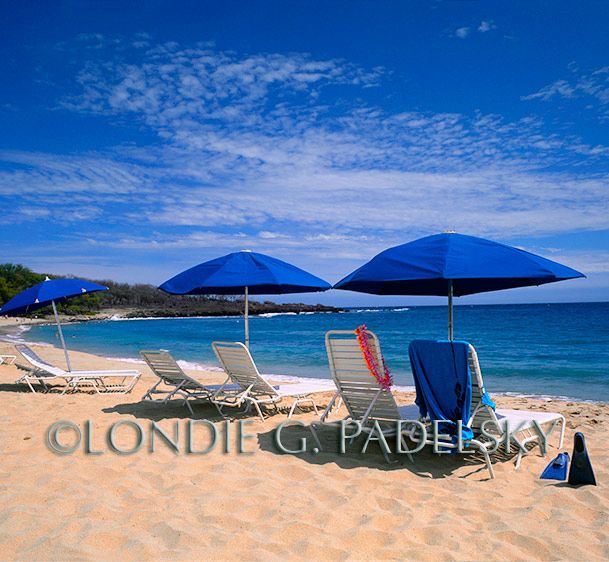 HA-249_Londie_G_Padelsky