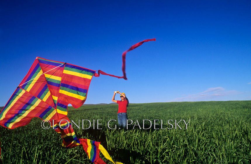 Kite flying in a country field, California Valley                   ©Londie G. Padelsky  SLC-3684_LondieGPadelsky