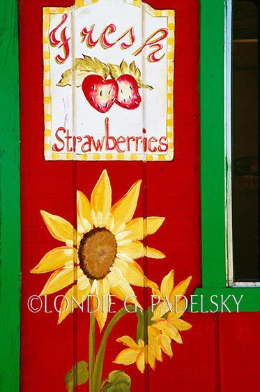 Roadside strawberry stand.              ©Londie G. Padelsky CA35-3877_LondieGPadelsky