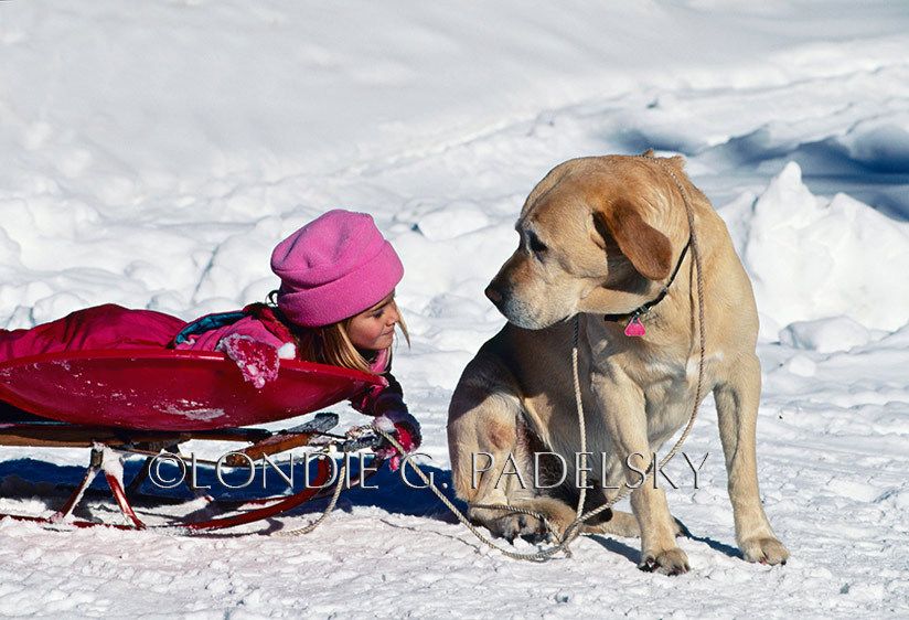 ESW-866_Londie_G_Padelsky