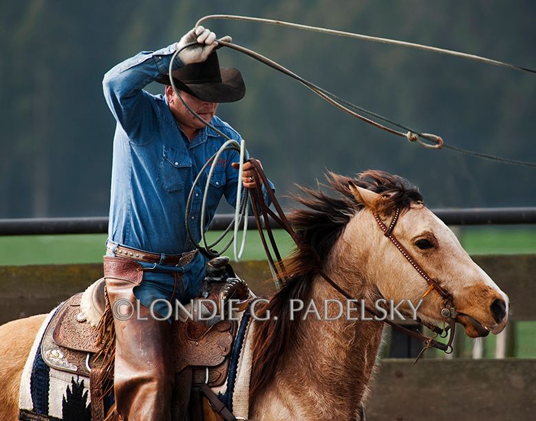 Cowboy roping at a cattle roundup.  ©Londie G. Padelsky LGP2044_LondieGPadelsky