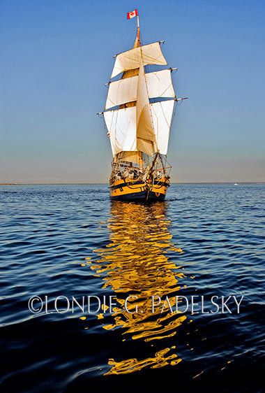 LGP_7634_LondieGPadelsky