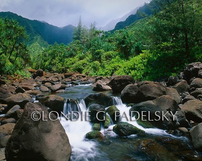 HA-596_LondieGPadelsky