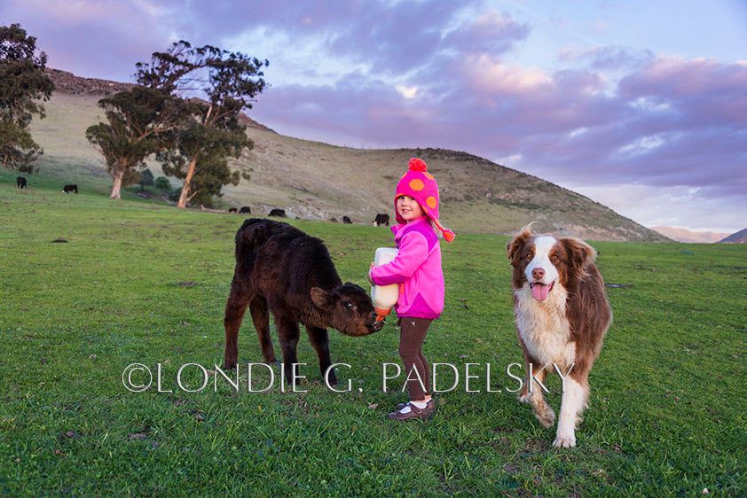 SLO_3LG8713_LondieGPadelsky