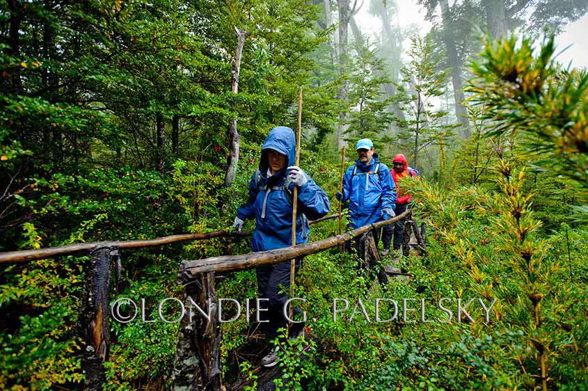 Hiking the trail in the rain at the Rio Futalefu, Patagonia, Chile, South America ©Londie G. Padelsky 11SAC_LGP1264_LondieGPadelsky