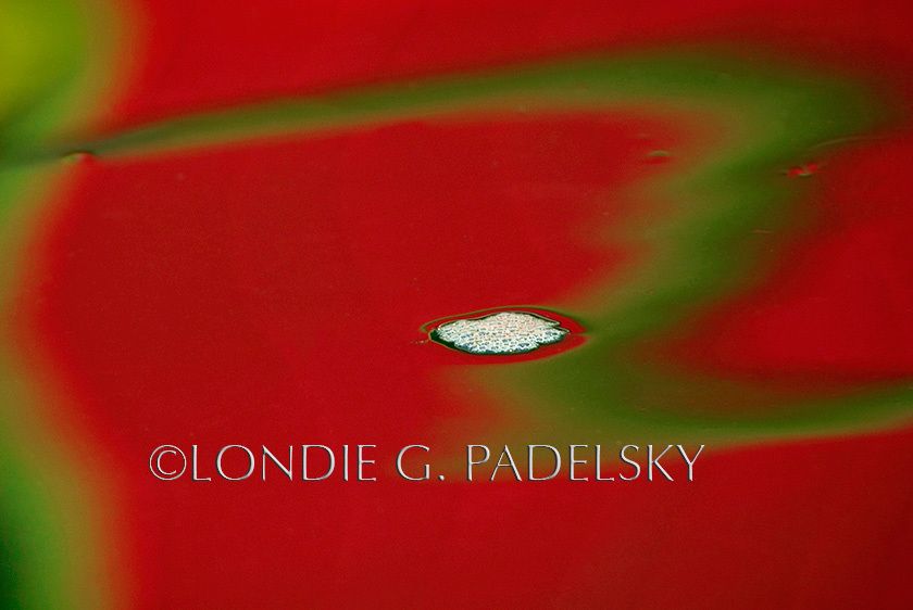 Orange, green, and white water reflection and abstract design.    ©Londie G. Padelsky MB2-9203_LondieGPadelsky