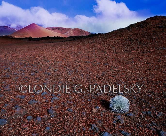 HA-402_LondieGPadelsky