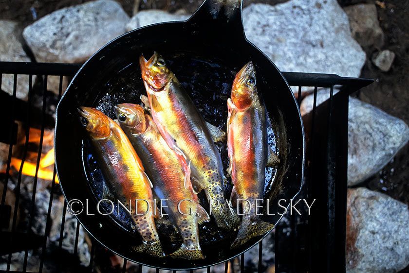 Trout fish frying over a campfire in the high Sierra Nevada, California©Londie Garcia Padelsky JMT-2207_LondieGPadelsky