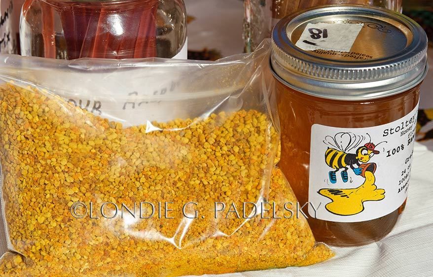 Bee pollen and jar of raw honey. ©Londie G. Padelsky 101009_LGP_LondieGPadelsky