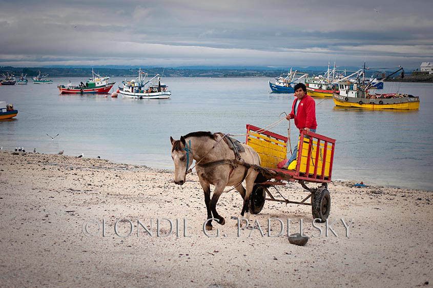 Chilean man with horse and cart picking up supplies at the harbor southern Chile, South America                             ©Londie G. Padelsky SAMER-00480_LondieGPadelsky