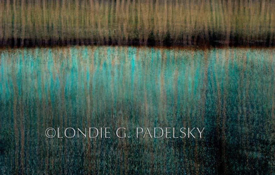 Turquoise, tan, and black abstract paint design.                          ©Londie G. Padelsky PTWA_LGP9396_LondieGPadelsky