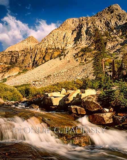 Palisade Creek in Deer Meadow, Kings Canyon National Park, California ©Londie Garcia Padelsky JMTM-387_LondieGPadelsky