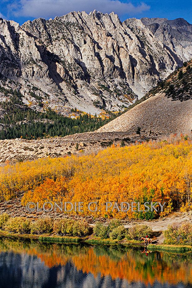 cowboys, cowboy, cowboy reflection, horse, reflections, fall, fall colors, mountains, north lake, bishop creek canyon, Sierra Nevada Cowboy reflection