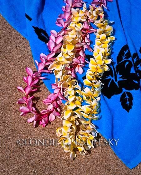 HA-235_londie_G_Padelsky