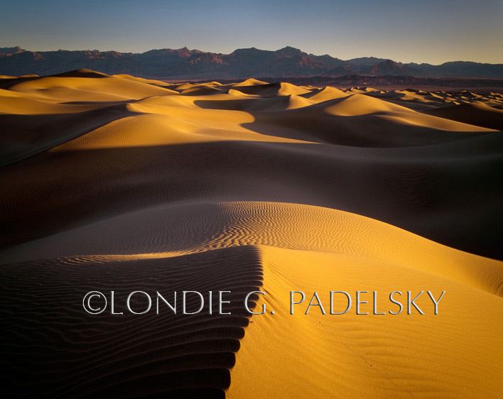 Sand dunes at Death Valley National Park, California   ©Londie G. Padelsky  DVY-245_LondieGPadelsky