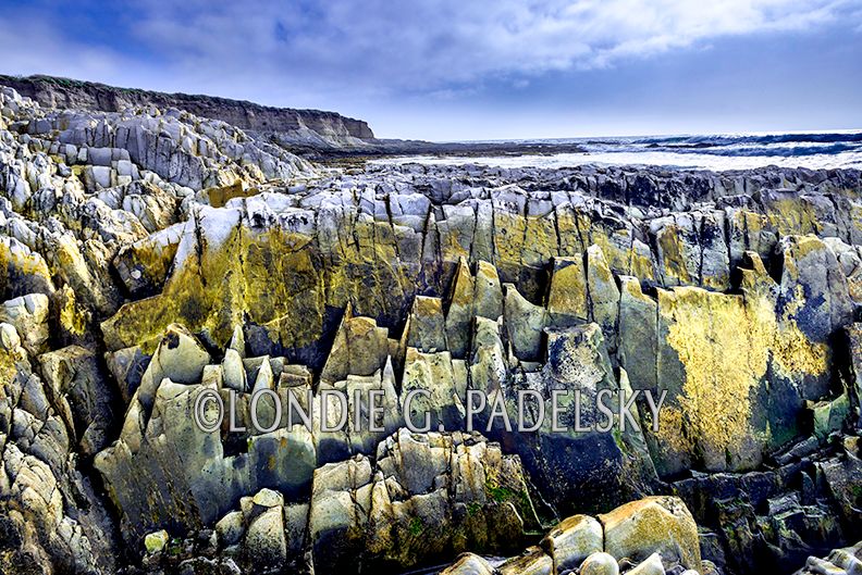 Golden rocks line the shore of the Central Coast of California                ©Londie G. Padelsky  SLO_4LG1580_LondieGPadelsky.jpg