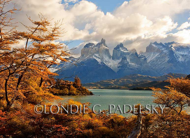 Fall colors at Torres del Paine National Park, South America     ©LondieGPadelsky SAMER_09218_LondieGPadelsky