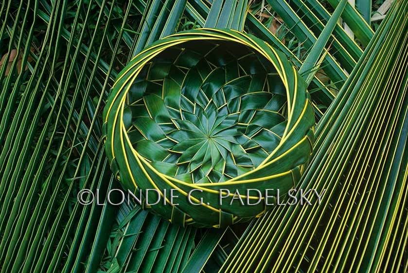 HA35_153_Londie_G_Padelsky