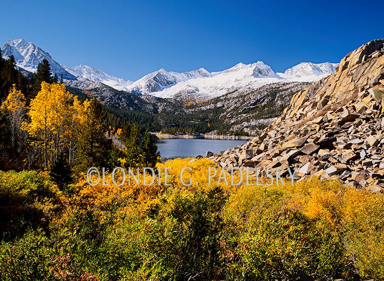 ESF-807_LondieGPadelsky copy.jpg