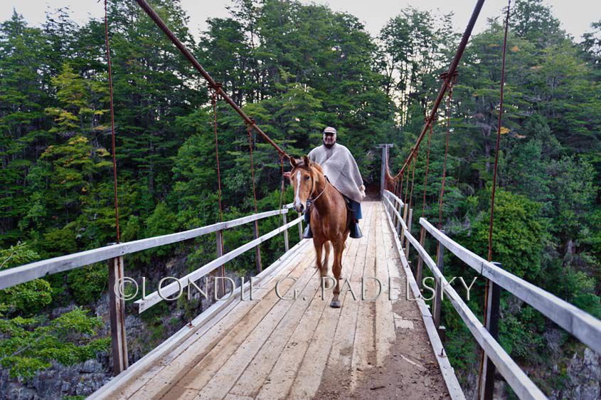 Chilean gaucho riding horseback on an old wooden bridge over the Rio Futaleufu at Azul Valley, Patagonia, Chile, South America ©Londie G. Padelsky 10SAC_LGP9112_LondieGPadelsky