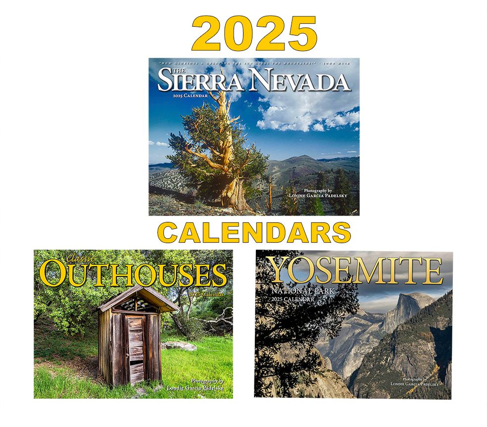 2025 calendars copy.jpg