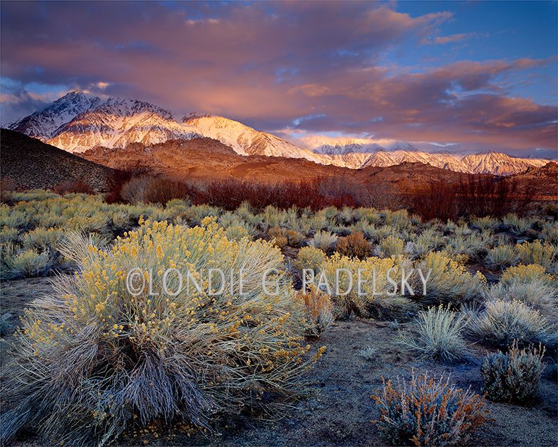 Wheeler Crest and Mt. Tom, Owens Valley, CA ES-3140_Londie_G_Padelsky copy.jpg