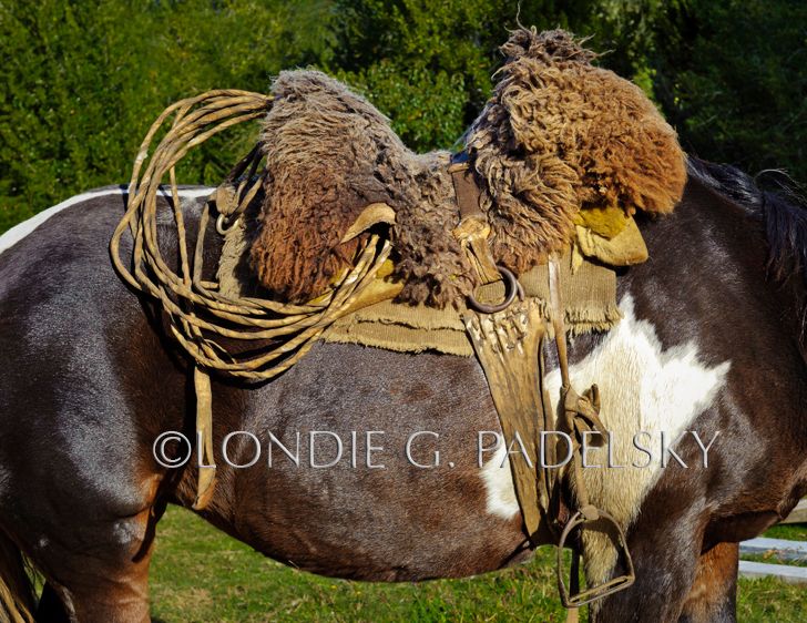 Chilean sheepskin covers the saddle and lariet, Patagonia, Chile, South America ©Londie G. Padelsky 10SAC_LGP9431_LondieGPadelsky