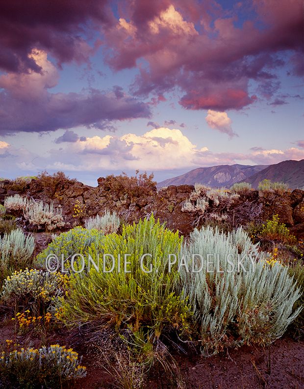 Sunset over the sages, Eastern Sierra, CA ES-3196_LondieGPadelsky.jpg