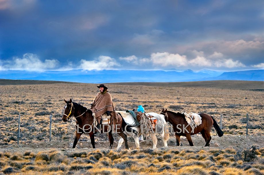 horseback, South America, cowboy, gaucho, Argentina, horses, pack horses Cowboy horseback