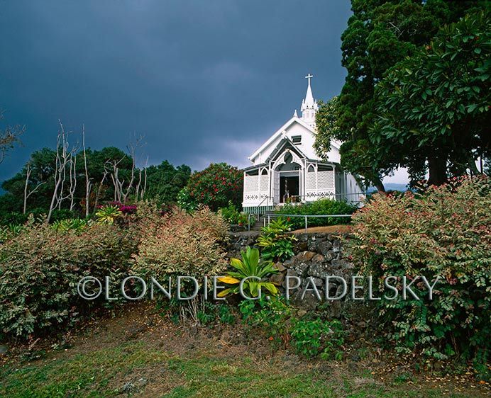 HA-146_Londie_G_Padelsky