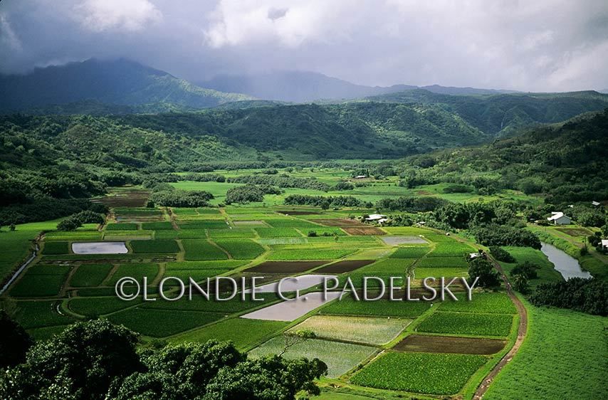 HA35-03_LondieGPadelsky