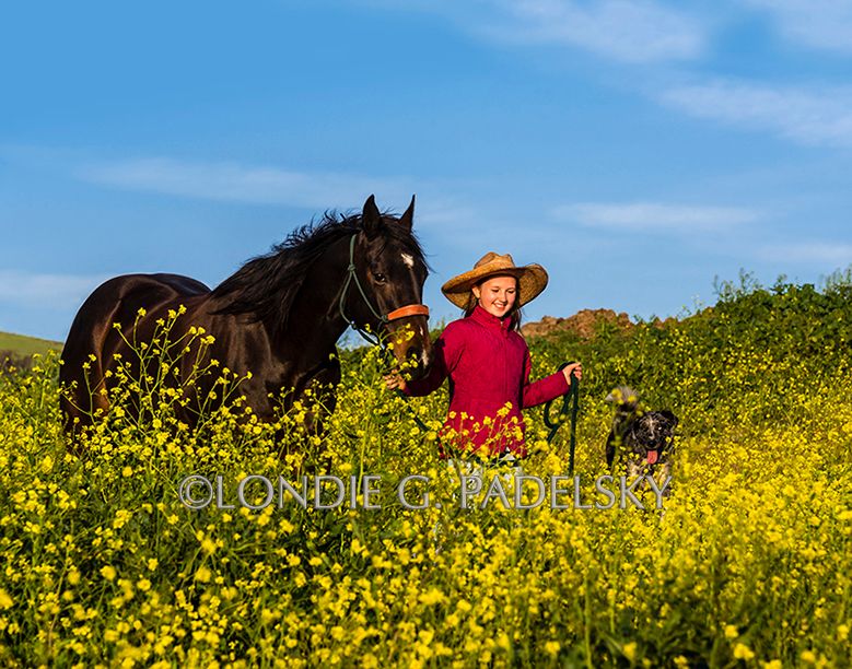 Young girl leading her black horse in the mustard flowers.  Central Coast, California.    ©Londie G. Padelsky LON0330cr_LondieGPadelsky