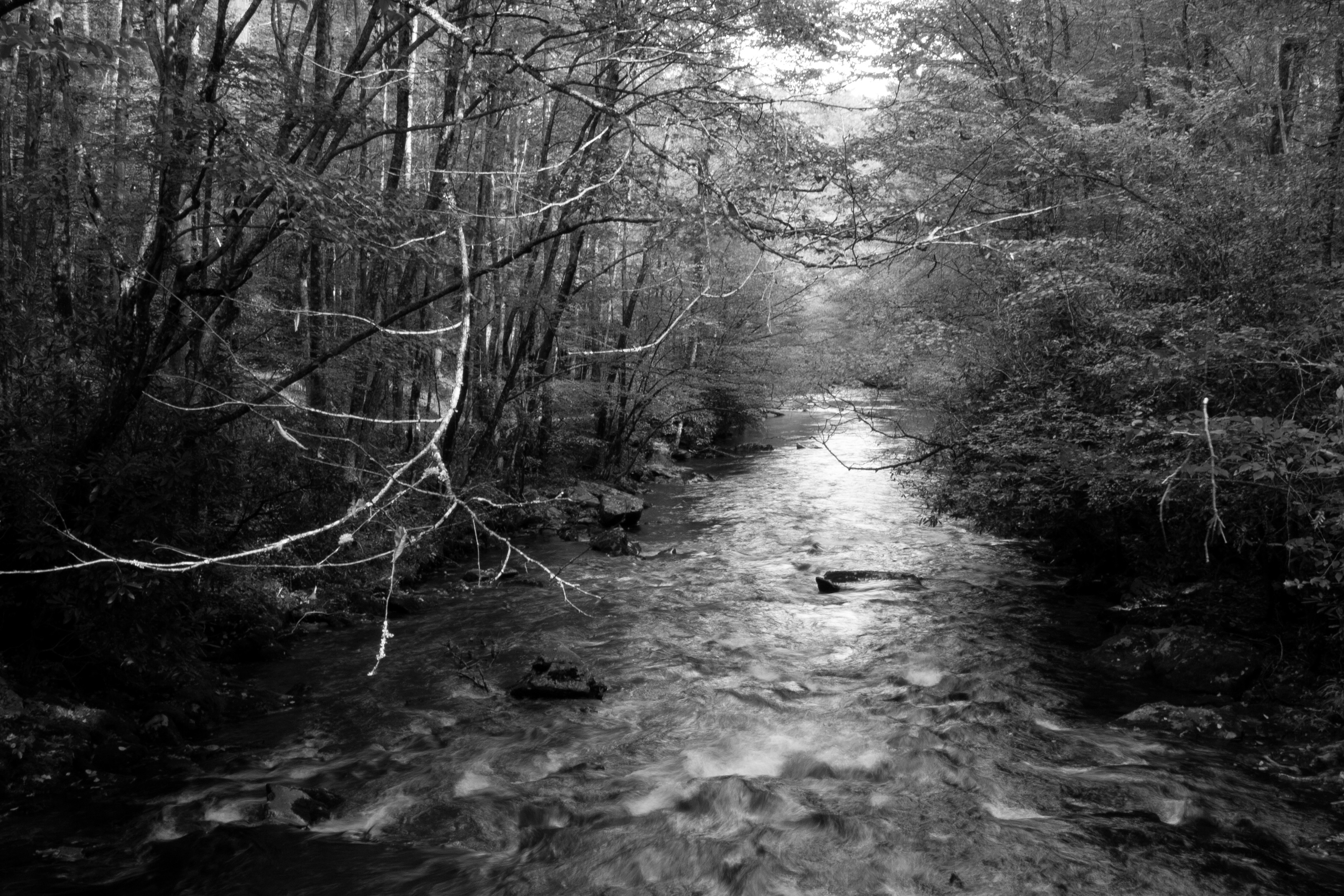 006_Great Smokey Mt-05 copy.jpg