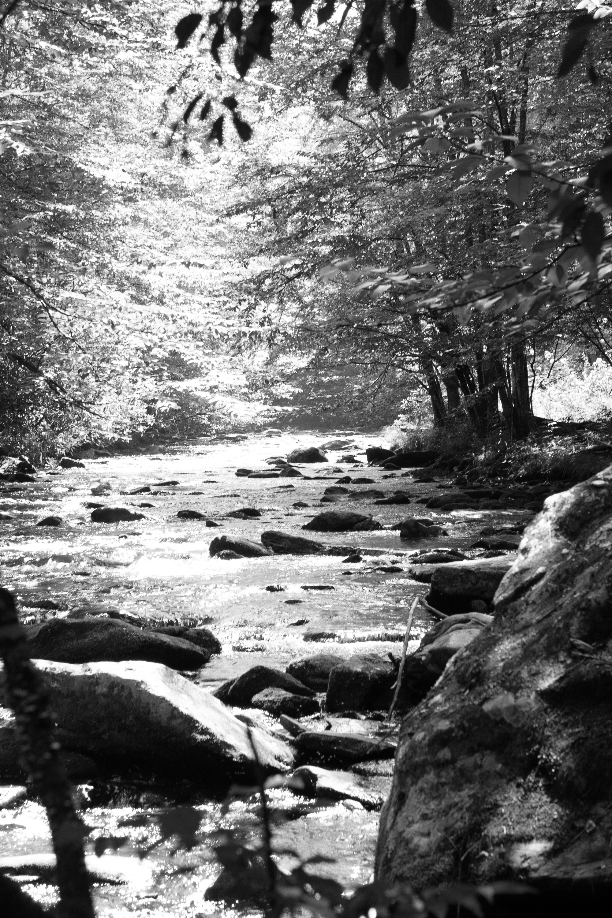 004_Great Smokey Mt-11.jpg