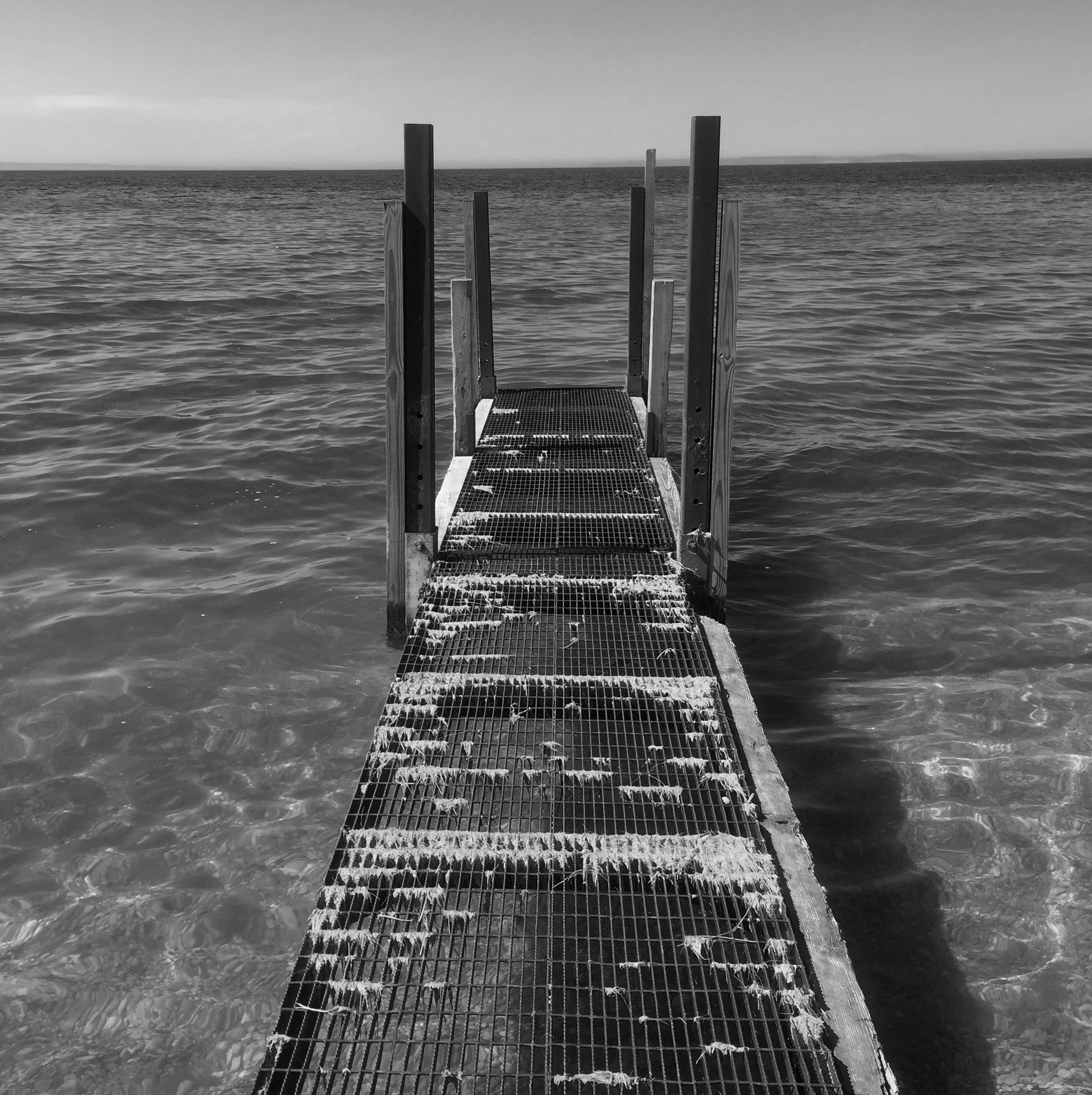 010_The Great Lake.jpg