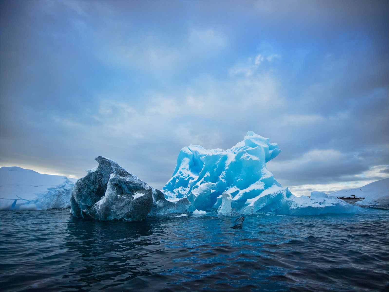 210_1iceberg_2.jpg