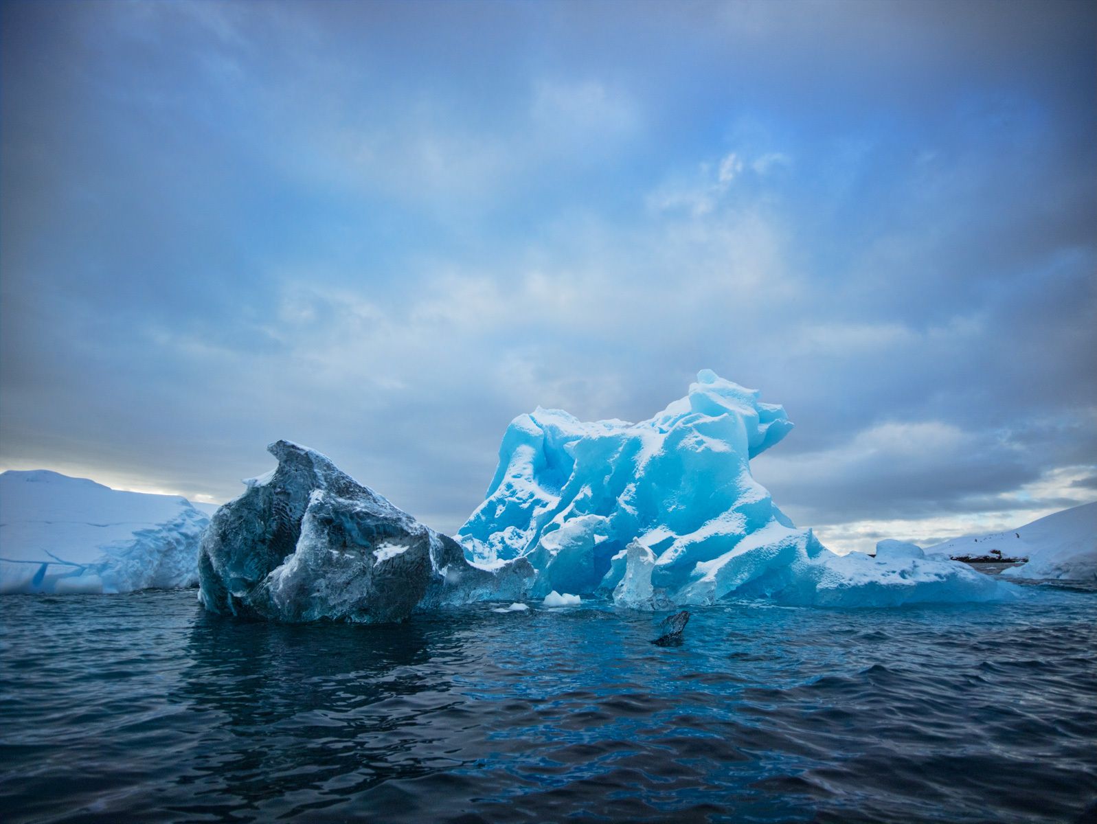 1iceberg_2