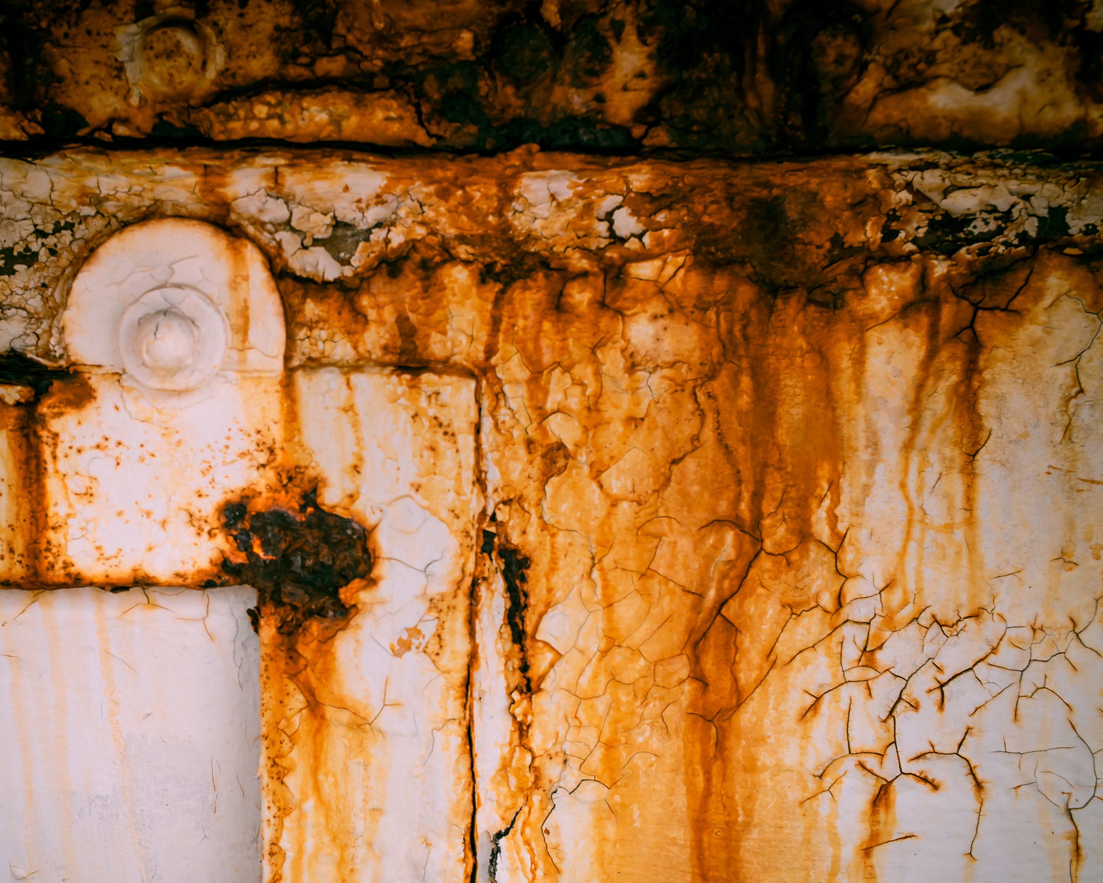 Rust 8x10.jpg