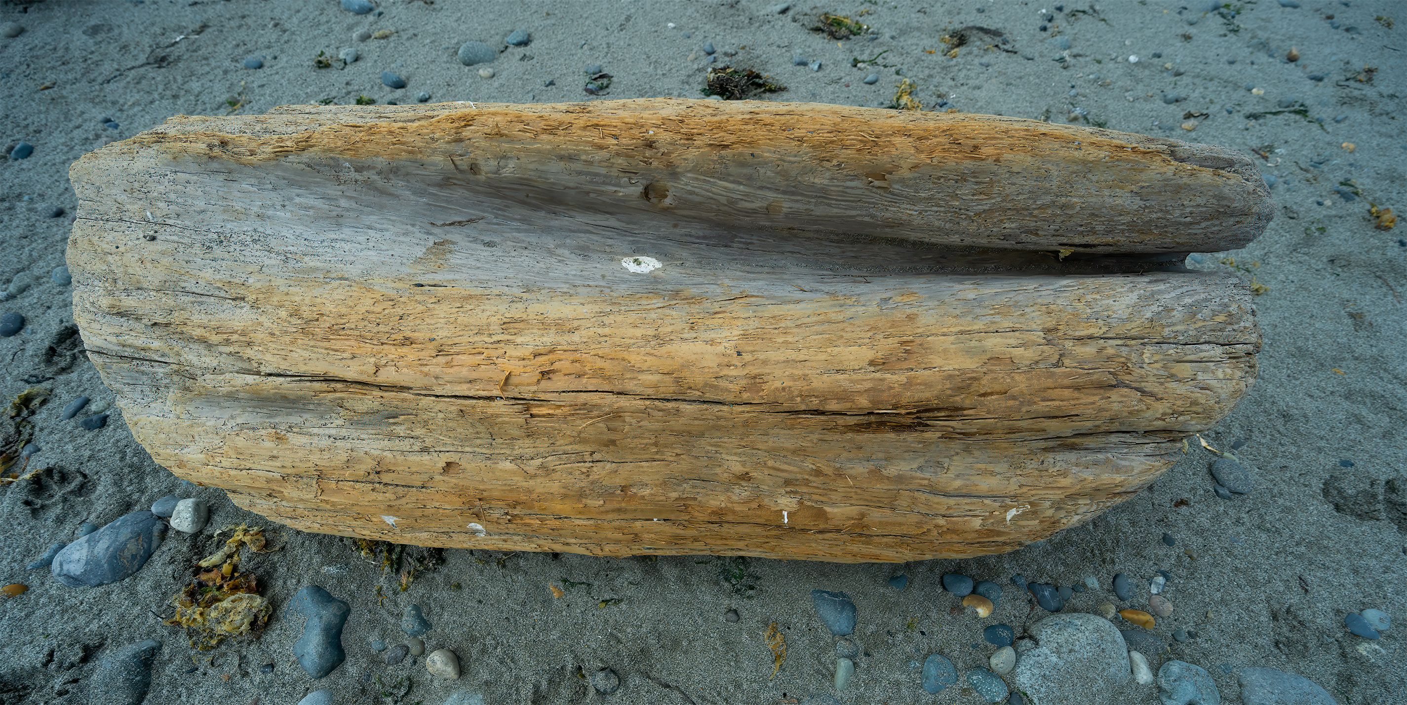 09-22 Wood 7001.jpg