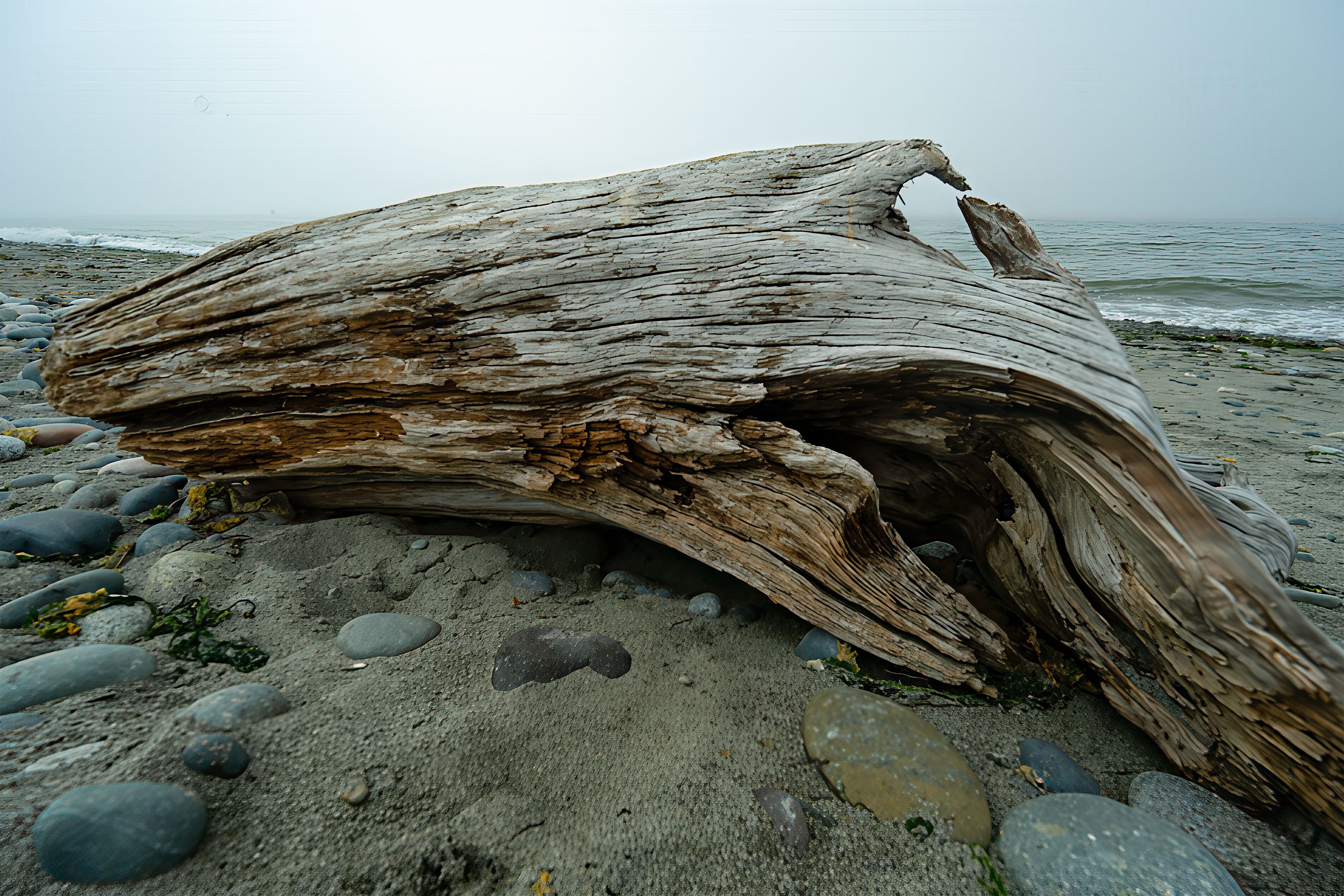 09-22 Wood 6997.jpg