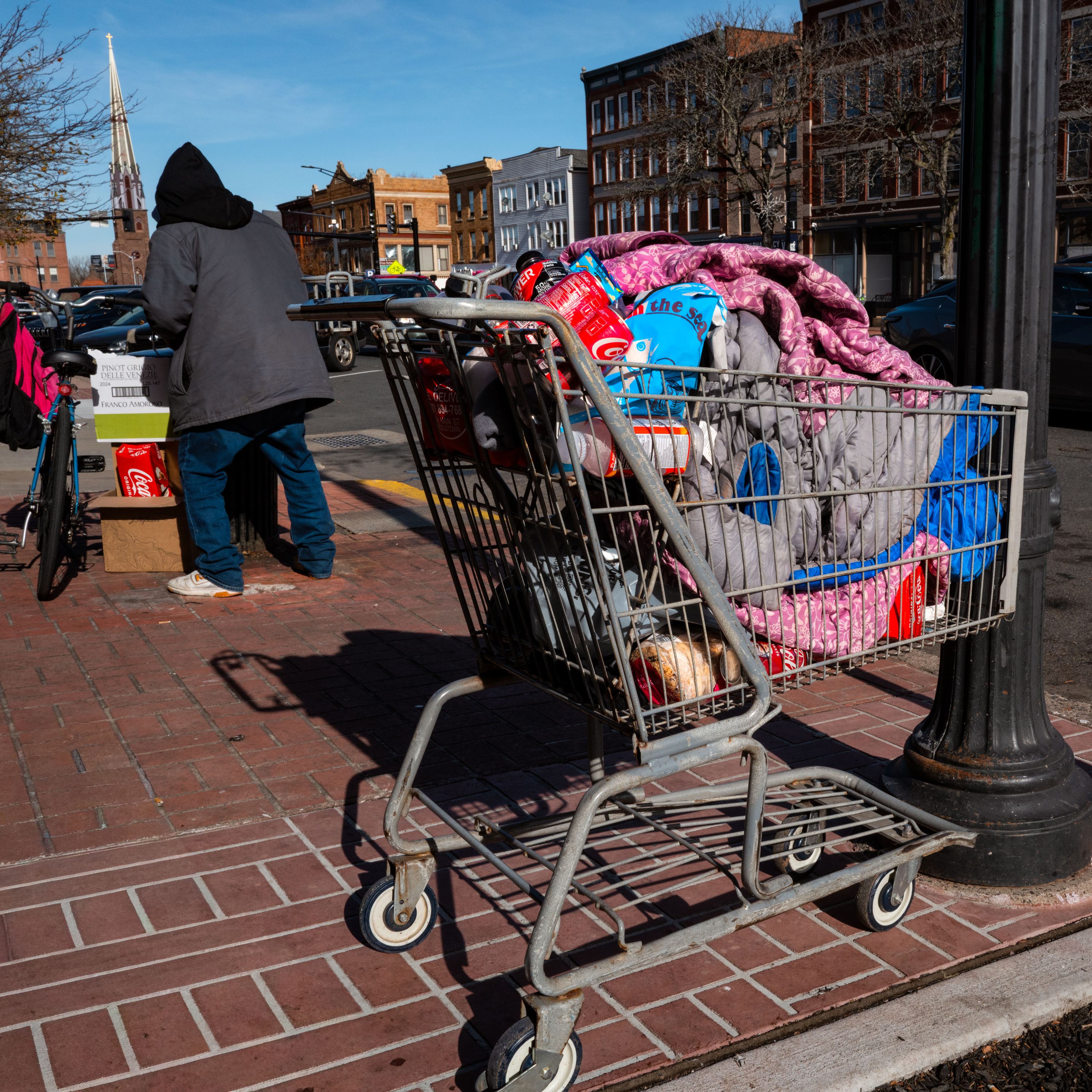 11-15 Cart color 3251 copy.jpg