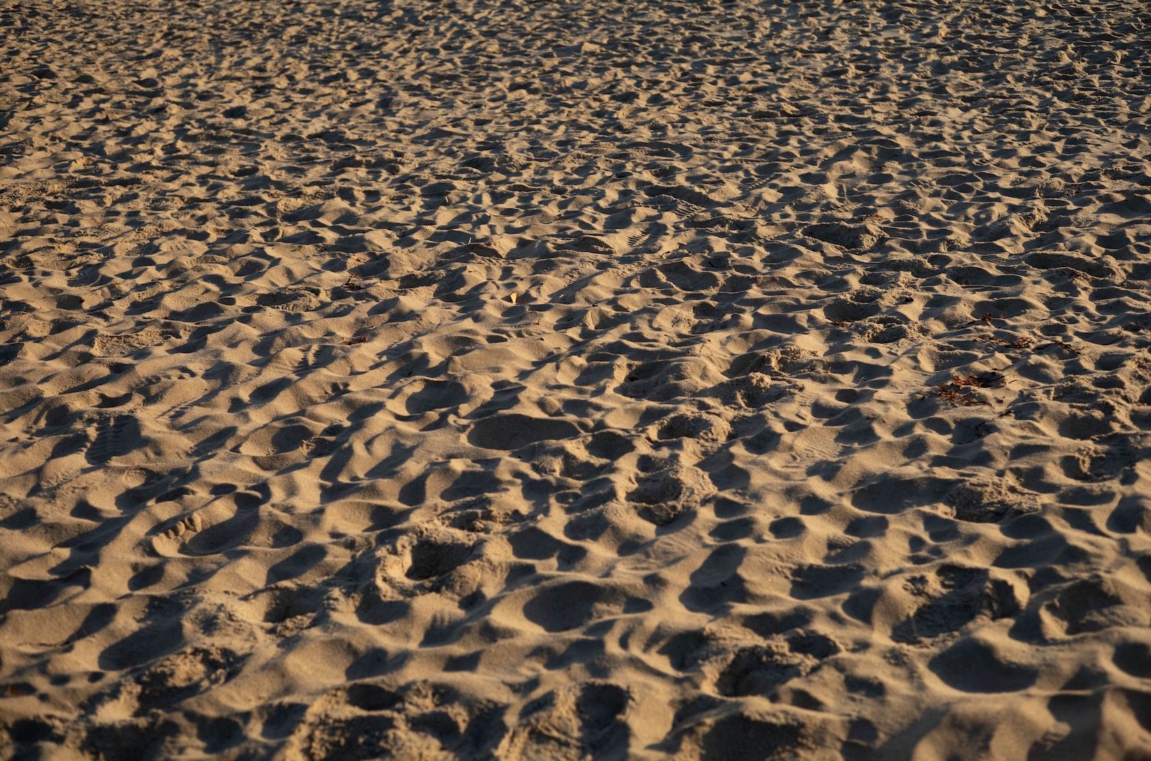L1001287 SAND.jpg
